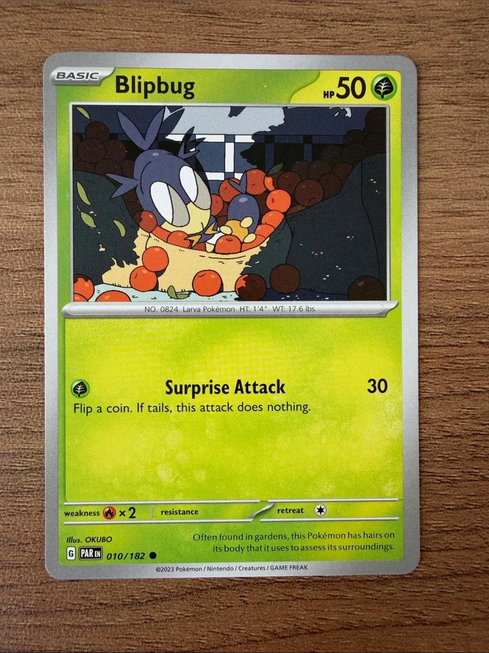 🐛 Cute Bug Pokémon Card Lot | Sewaddle Scatterbug Wurmple Ledyba ✨5/$25✨